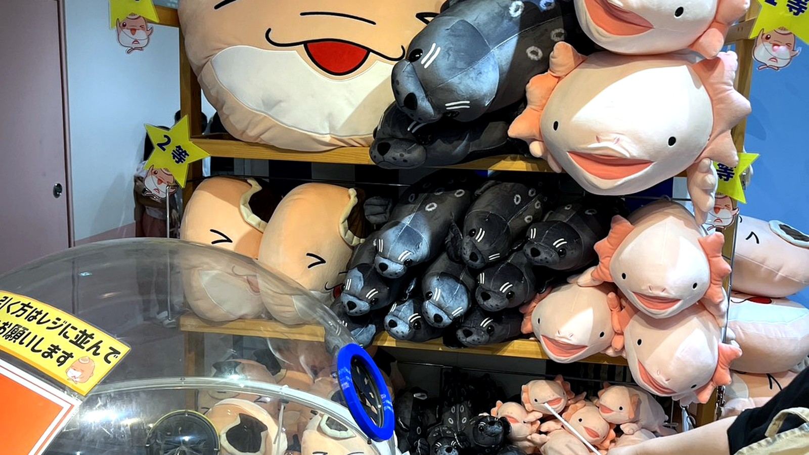 水族館限定のぬいぐるみくじコーナー