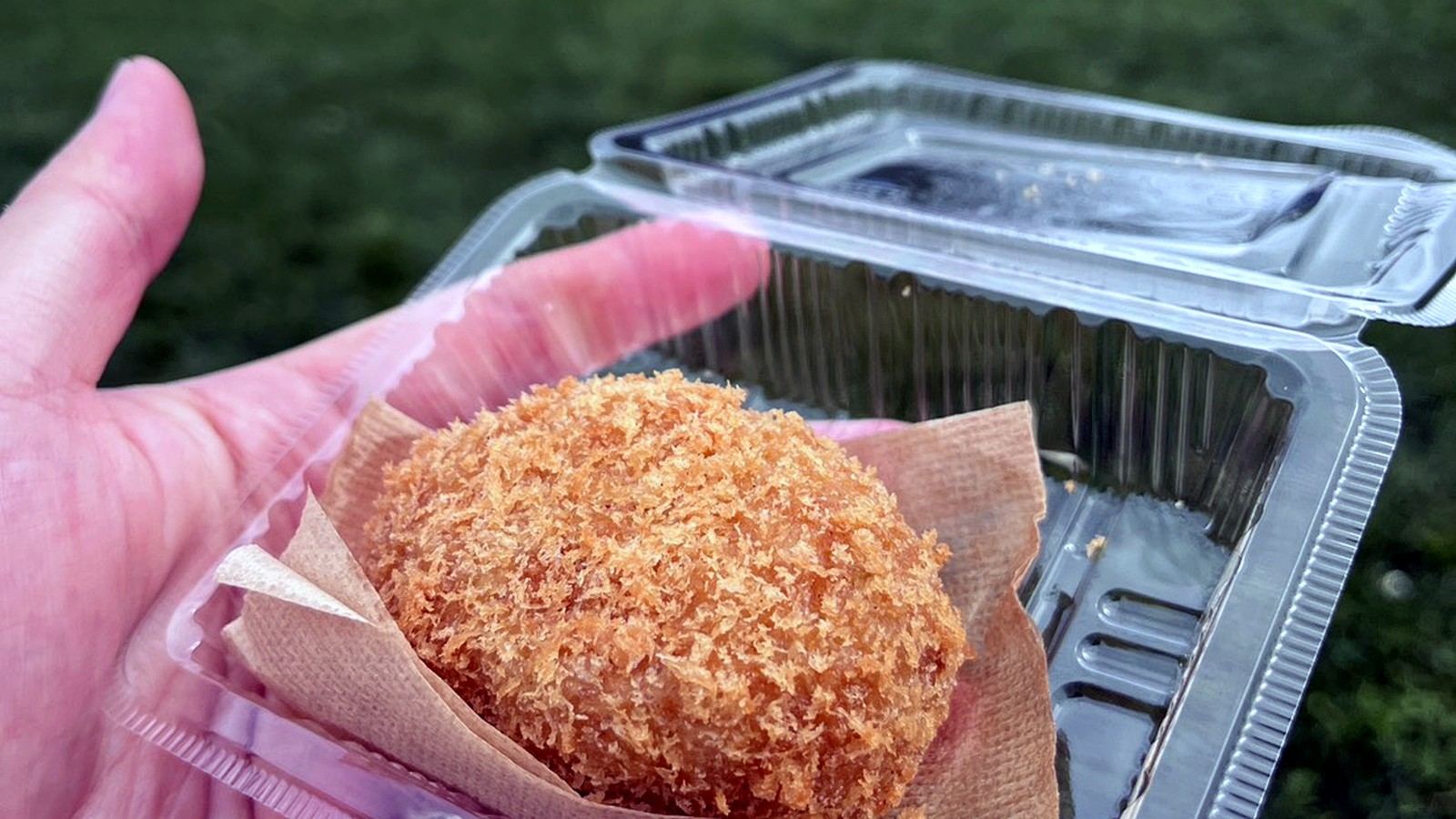 芝生広場のイベントで手にした揚げ物